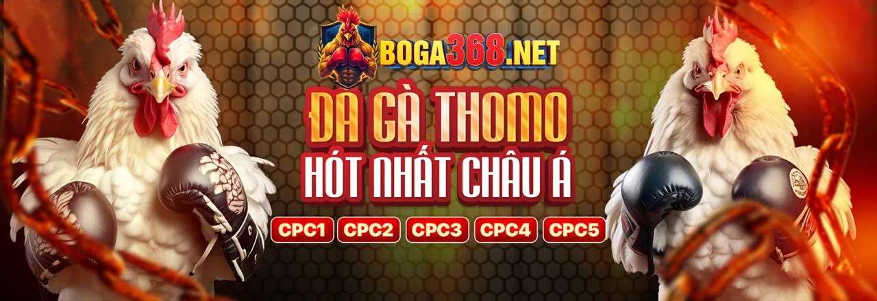 Hình ảnh đá gà trực tuyến sống động tại 2bong nổ hũ